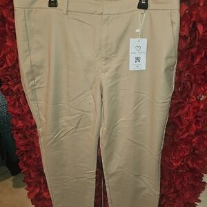 Mary Crafts NWT Women's Elegant Tan Trousers Size Xlarge